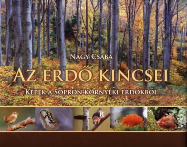 Az erdő kincsei - képek a Sopron környéki erdőkből Akciós ár
