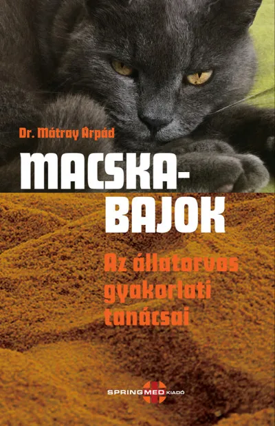 Alacsony ár Macskabajok - Az állatorvos gyakorlati tanácsai