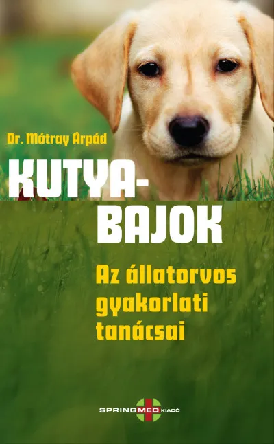 Csak ma Kutyabajok - Az állatorvos gyakorlati tanácsai