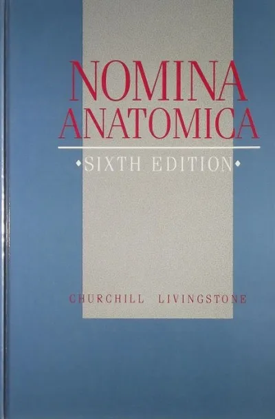 Szuper akció Nomina Anatomica - (Sixth Edition)