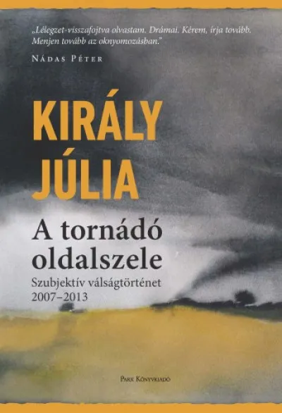 Kedvezményes ár A tornádó oldalszele - Szubjektív válságtörténet 2007-2013