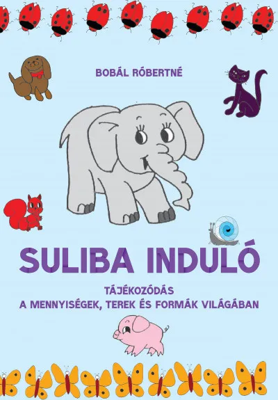 Suliba induló - Tájékozódás a mennyiségek, terek és formák világában Ajánlat