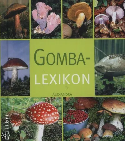 Gombalexikon Biztonságos fizetés