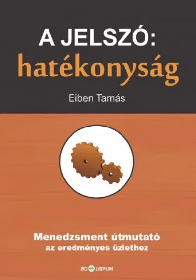 Gyors kiszállítás A jelszó: hatékonyság - Menedzsment útmutató az eredményes üzlethez