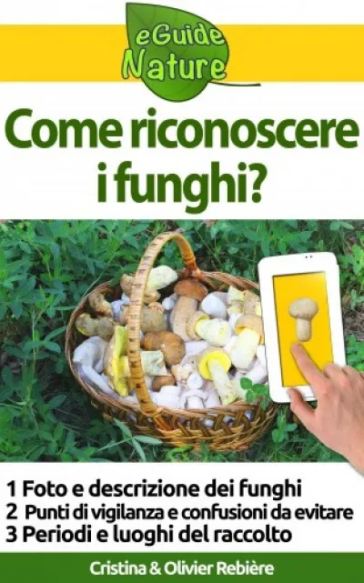 Végkiárusítás Come riconoscere i funghi?