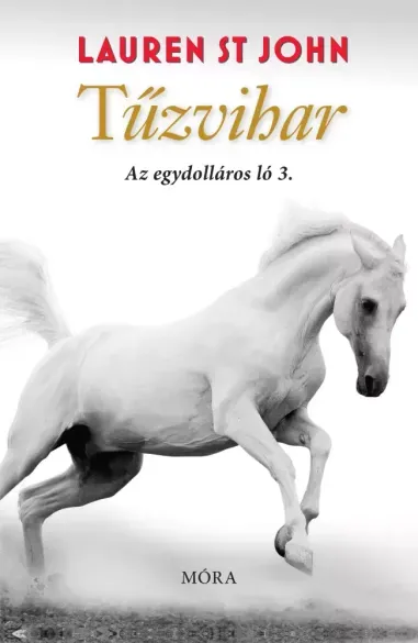 Tűzvihar - E-könyv Népszerű