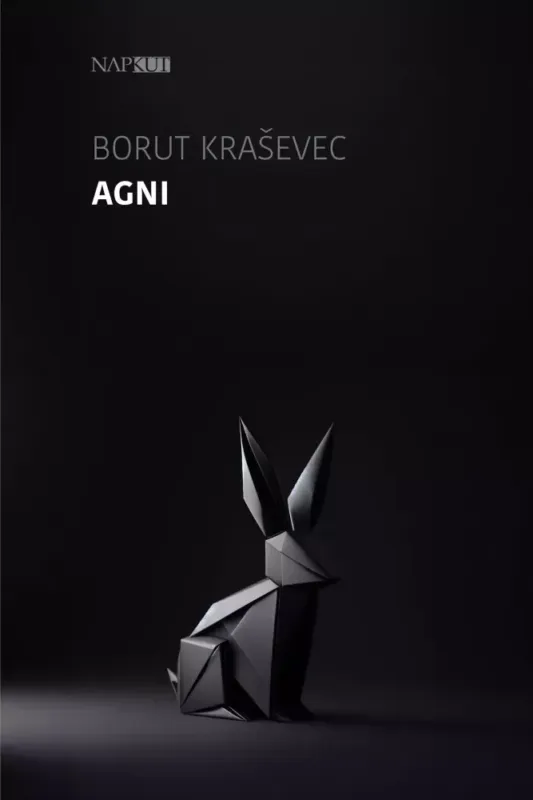 Agni - E-könyv Expressz szállítás