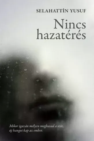 Végkiárusítás Nincs hazatérés - E-könyv