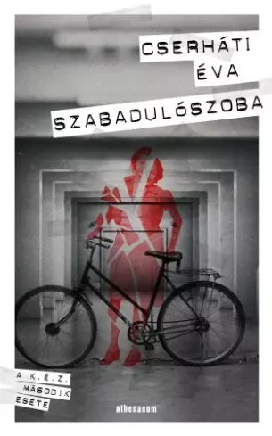 Rendeld meg most Szabadulószoba - E-könyv