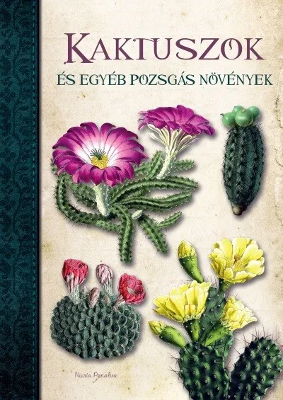 Kaktuszok és egyéb pozsgás növények Outlet